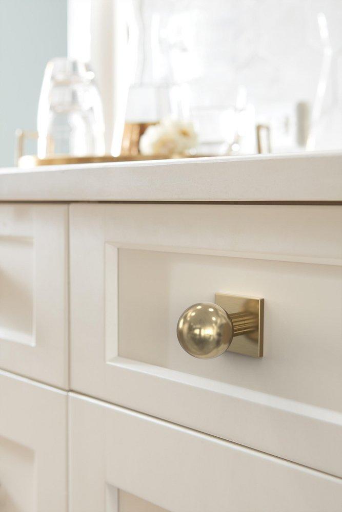 Amerock Golden Champagne 1-3/16 in. Backplate 