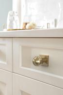 Amerock Golden Champagne 1-3/16 in. Backplate 