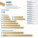 LADERA 5-1/16 INCH 128MM CENTER-TO-CENTER CHAMPAGNE BRONZE CABINET BACKPLATE 