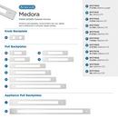 MEDORA 6-5/16 INCH 160MM CENTER-TO-CENTER POLISHED CHROME CABINET BACKPLATE 