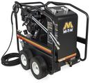 3000 PSI GAS HOT WTR PRES WSHR 