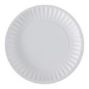 PAPER PLATE 6 WHITE 10/100/CA 