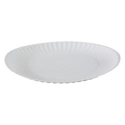 9 in. White Paper Plates (12/100 Count)
