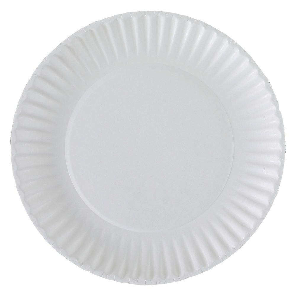 9 in. White Paper Plates (12/100 Count) 