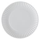 9 in. White Paper Plates (12/100 Count) 