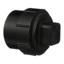 2 in. ABS DWV Fitting Cleanout Adapter with Plug