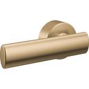 Tank Lever in Champagne Bronze 
