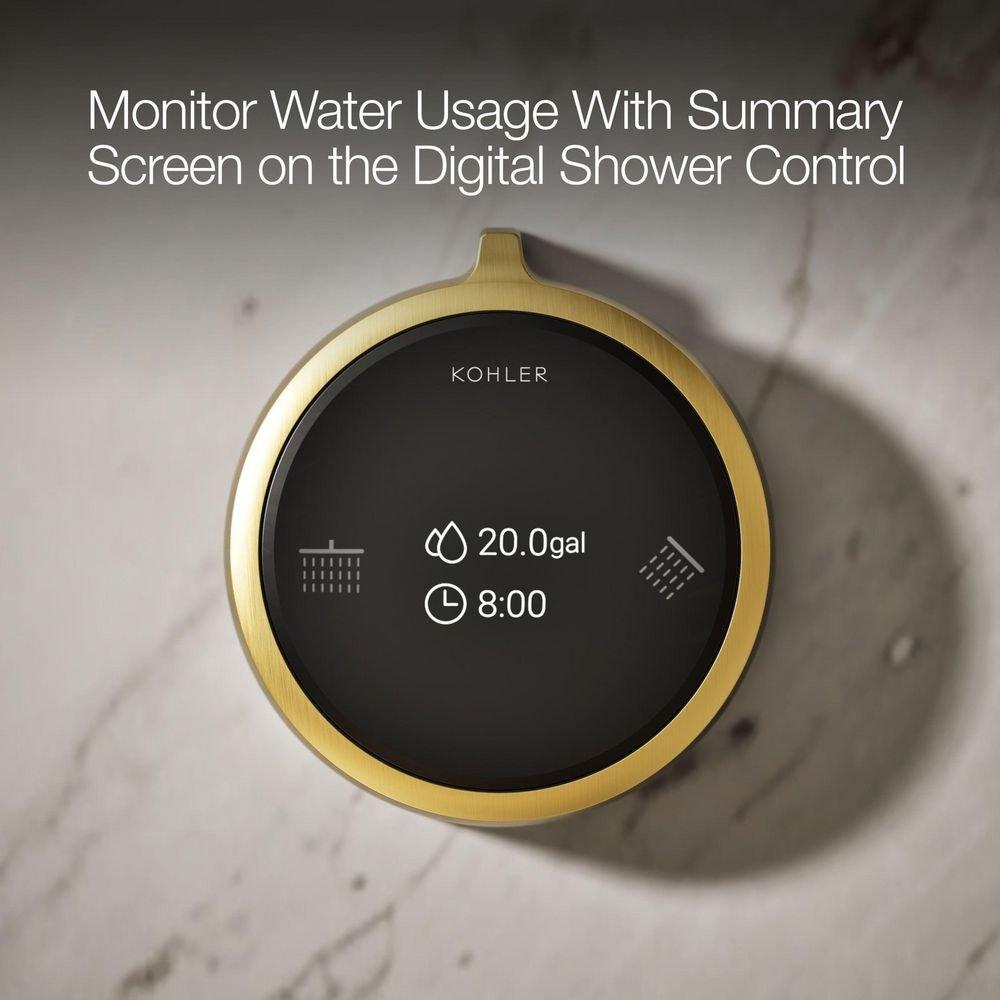 Dual-Outlet  Digital Shower Control in Vibrant&reg; Brushed Moderne Brass 