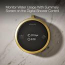Dual-Outlet  Digital Shower Control in Vibrant&reg; Brushed Moderne Brass 