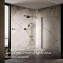 Dual-Outlet  Digital Shower Control in Vibrant&reg; Brushed Moderne Brass 