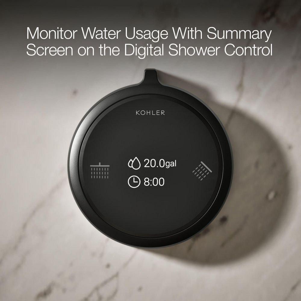 Dual-Outlet  Digital Shower Control in Matte Black 