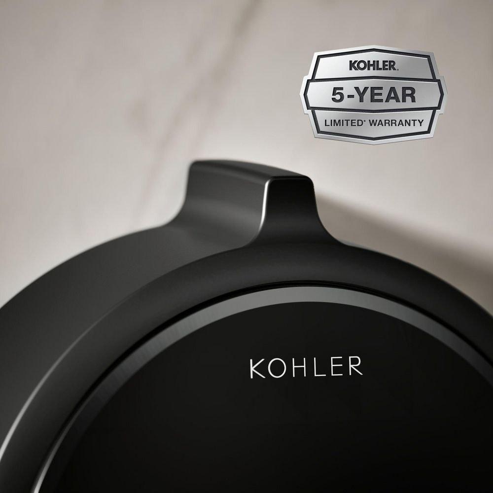 Dual-Outlet  Digital Shower Control in Matte Black 