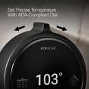 Dual-Outlet  Digital Shower Control in Matte Black 