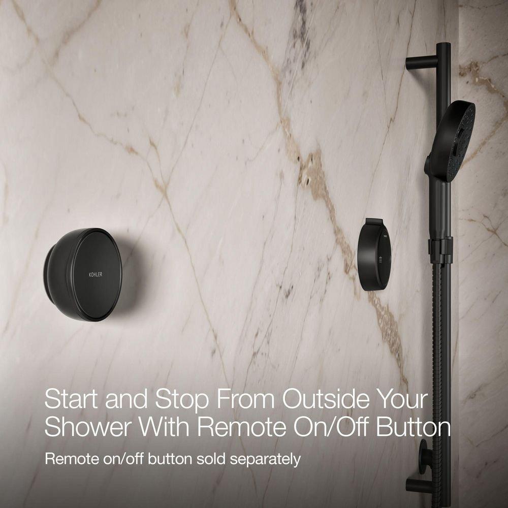 Dual-Outlet  Digital Shower Control in Matte Black 