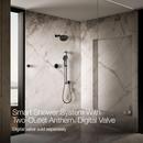 Dual-Outlet  Digital Shower Control in Matte Black 