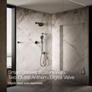 Dual-Outlet  Digital Shower Control in Matte Black 