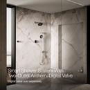 Dual-Outlet  Digital Shower Control in Vibrant&reg; Brushed Nickel 