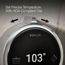 Dual-Outlet  Digital Shower Control in Polished Chrome 