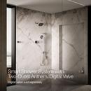 Dual-Outlet  Digital Shower Control in Polished Chrome 