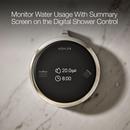 Dual-Outlet  Digital Shower Control in Vibrant&reg; Polished Nickel 