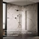 Dual-Outlet  Digital Shower Control in Vibrant&reg; Polished Nickel 