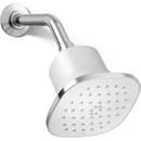 Single Function Showerhead in Polished Chrome 