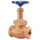 3/4 in. Bronze FNPT Globe Valve