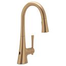 BRONZED GOLD BZG ONE-HANDLE HIGH ARC PULLDOWN KITCHEN FAUCET 