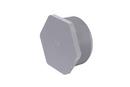 3/8 CPVC S80 THRD PLUG 