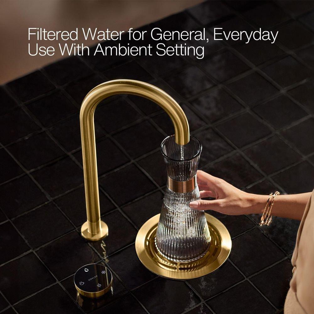 4-in-1 Under Sink Beverage System 