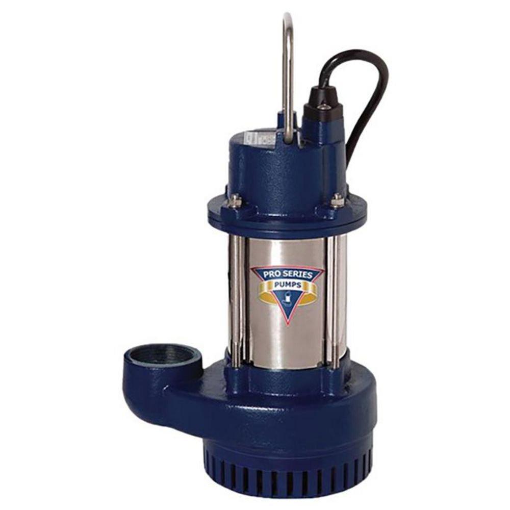 HE 1/3 HP Cast Iron and Stainless Steel Primary Sump Pump with Vertical Float Switch 