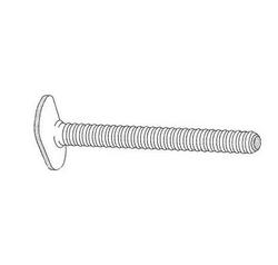 1/4 x 2-1/4 in. Brass Closet Bolt