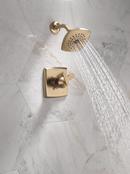Two Handle Single Function Shower Faucet in Champagne Bronze (Trim Only) 