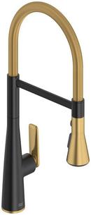 ASPIRATIONS SNGL HDL KITCH PROF. PD DUAL 