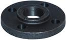 2-1/2 x 7 in. Threaded 125# Cast Iron Sanitary Flange