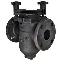 Basket 6 in. Cast Iron Flanged Valve Strainer