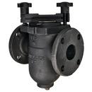 Mueller Steam Specialty 6 in. Cast Iron Flanged Valve Strainer 