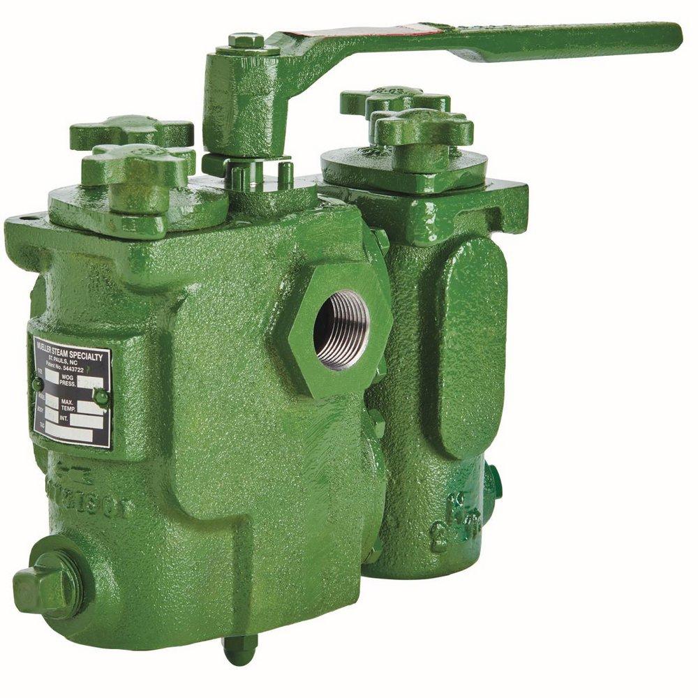 Mueller Steam Specialty 1 Cast Iron 125# Thread Perforated Duplex STRT 