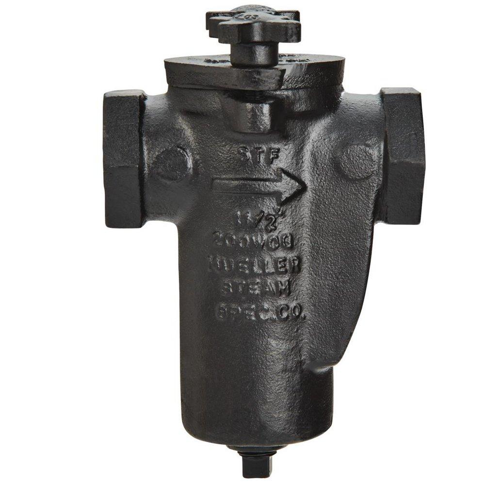 Mueller Steam Specialty Cast Iron Flanged End Basket Type Strainer 