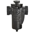 Mueller Steam Specialty Cast Iron Flanged End Basket Type Strainer 