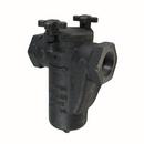 Mueller Steam Specialty Cast Iron Flanged End Basket Type Strainer 