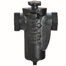 Mueller Steam Specialty Cast Iron Flanged End Basket Type Strainer 