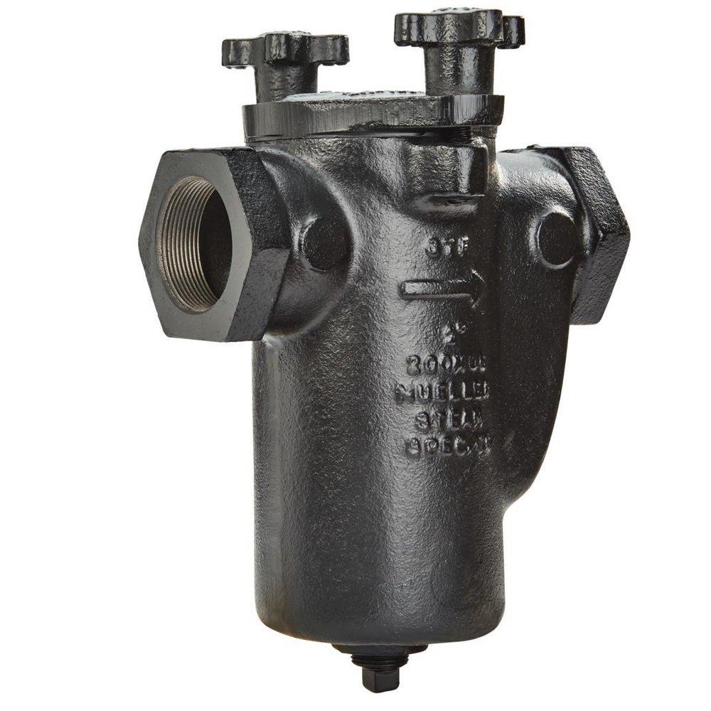 Mueller Steam Specialty 2 Cast Iron 125# Thread Basket Strainer 