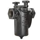 Mueller Steam Specialty 2 Cast Iron 125# Thread Basket Strainer 