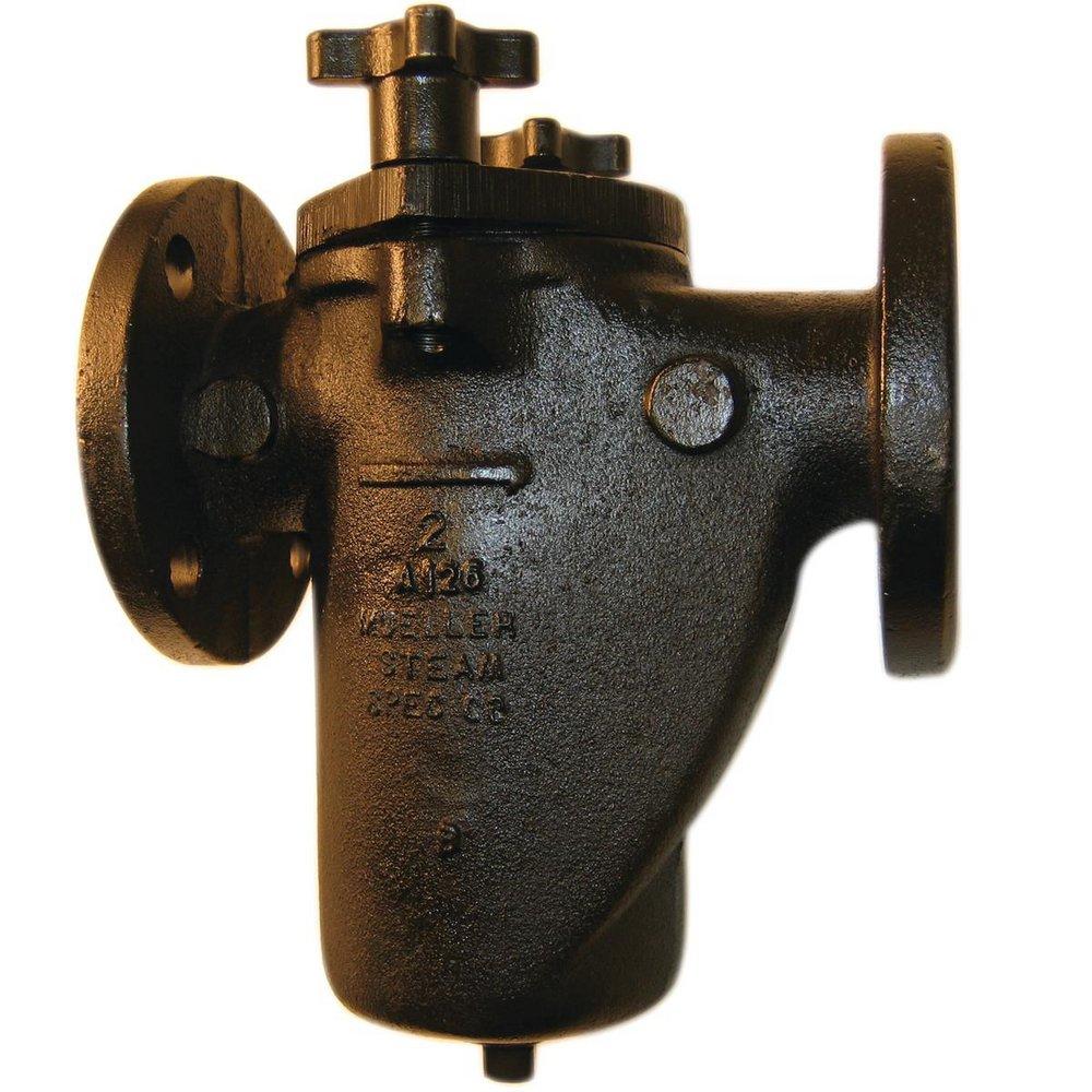 Mueller Steam Specialty Basket 2 in. Cast Iron Flanged Valve Strainer
