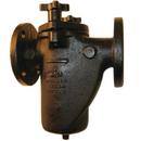 Mueller Steam Specialty 2 in. Cast Iron Flanged Valve Strainer 