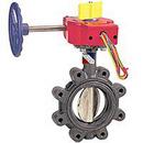 8 in. 250 psi Ductile Iron Lug Butterfly Valve Gear Operator Switch