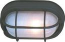 11" x 7" Outdoor Nautical Style Flush Mount Cage Ceiling Light in Textured Matte Black - No Bulb 