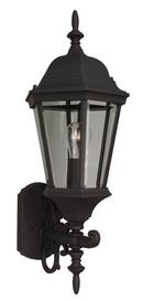 100 W 1-Light A Lantern in Matte Black