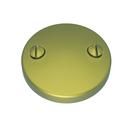 2-Hole Brass Face Plate Waste and Overflow Drain with Screw Antique Brass